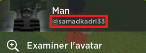 Roblox username!
